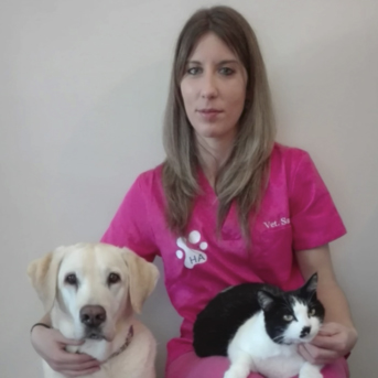 Hospital Veterinario H.A